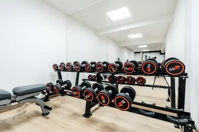 a row of dumbbells on a rack in a gym at Olive Tree Apartments by In Property in Becici