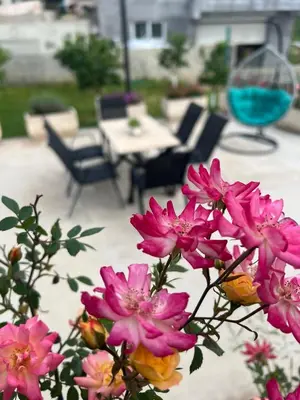 a bunch of pink flowers in front of a patio at Sunny Hill - Parking - Fenced Garden - Luxury Loft in Kotor