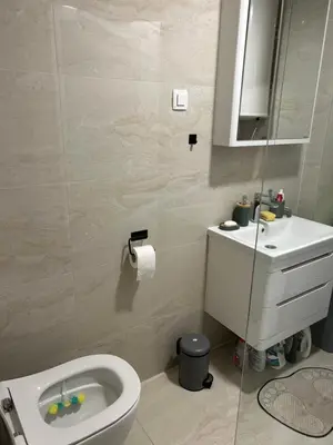a bathroom with a toilet and a sink at Apartment Veljko Becici in Becici