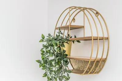a metal shelf with a plant on a wall at ALISA Sea View Apartment in Kotor