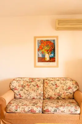 a couch in a living room with a painting on the wall at Solaris Summer Resort Apartments in Sutomore