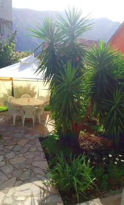 a patio with a table and chairs and palm trees at Luiggi in Kotor