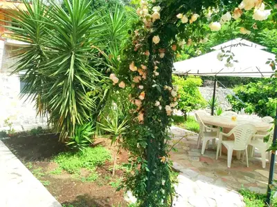 a table and chairs in a garden with a bunch of flowers at Luiggi in Kotor