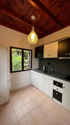 a kitchen with white cabinets and a light fixture at Villa Concordia in Budva