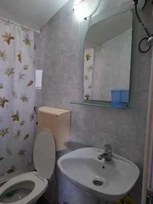 a bathroom with a toilet and a sink and a mirror at Aleksandrija in Čanj