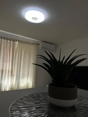 a potted plant sitting on top of a table at Kontiki Apartments 2 in Ulcinj