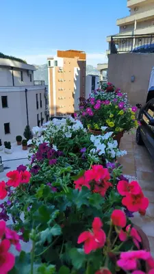 a bunch of flowers on a balcony at Centre Budva Blue in Budva
