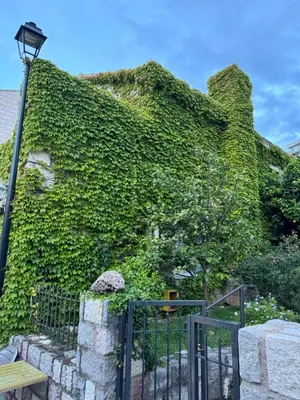 a ivy covered building with a street light and a bench at Sea view steps to Przno beach 2 Bedrooms Terrace Parking Villa Olive in Sveti Stefan