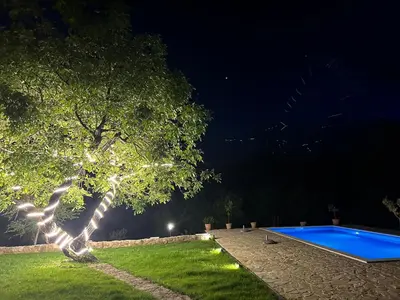 a tree next to a swimming pool at night at Holiday home Zlatna Glavica in Podgorica