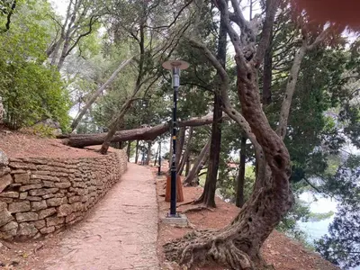 a street light next to a stone wall and a tree at Steps to beach 3 Bedrooms 2 Bathrooms 2 Kitchens with a Terrace - 2 Parking spots - Sea View in Sveti Stefan