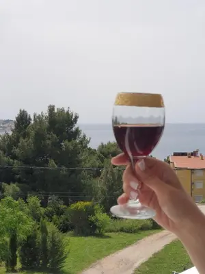 a person holding a glass of red wine at Montenegrinbeautystar in Bar