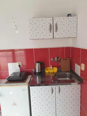 a small kitchen with a sink and red tiles at Montenegrinbeautystar in Bar
