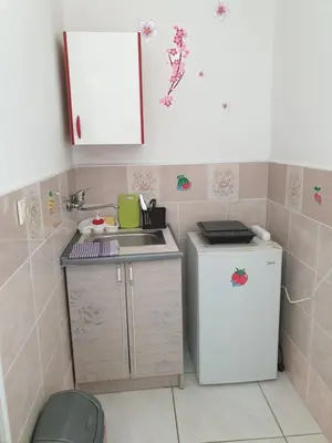 a small kitchen with a sink and a refrigerator at Montenegrinbeautystar in Bar