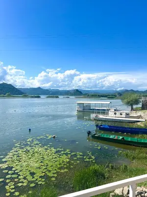 a view of a lake with a dock and water lilies at Lakeside Harmony Apartment in Golubovci