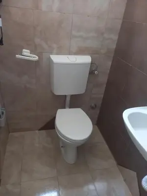 a bathroom with a white toilet and a sink at Smještaj Milena Čanj in Čanj