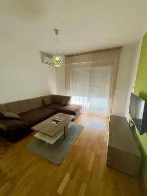 a living room with a couch and a coffee table at Cozy 1 bedroom APT with free parking in Podgorica