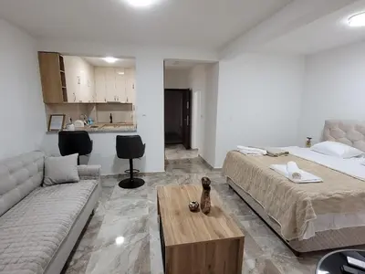 a bedroom with a bed and a couch and a table at Montenegro Apartments Phoenix With Pool in Bar