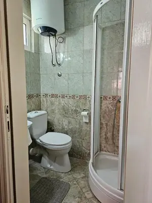 a bathroom with a toilet and a shower at Apartments Carpe Diem in Kotor