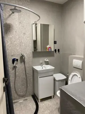 a bathroom with a shower and a sink and a toilet at Original Sunny place in Podgorica