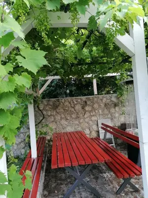 a red picnic bench sitting under a tree at Sailors Home Stari Bar in Bar