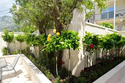 a garden with flowers and a fence at Sapphire view apartment in Kotor
