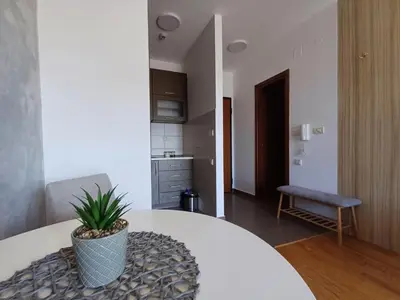 a room with a table with a potted plant on it at Apartman City kvart pg in Podgorica