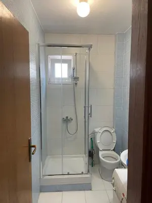 a bathroom with a shower and a toilet at Dado Budva Apartment in Budva