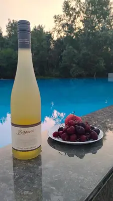 a bottle of wine next to a plate of fruit at Lula Apartments in Ulcinj