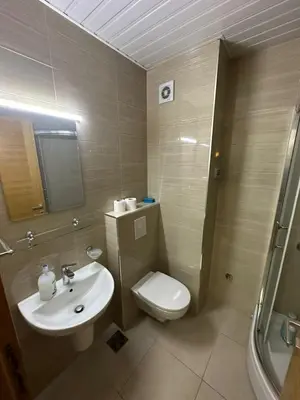 a bathroom with a sink and a toilet and a shower at Emina apartment City kvart in Kruševac