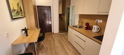 a small kitchen with a counter and a sink at Orlic Apartman in Budva