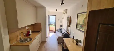 a kitchen with a sink and a living room at Orlic Apartman in Budva
