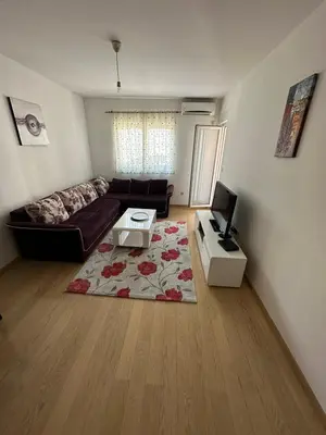 a living room with a couch and a tv at Marija apartment City kvart in Podgorica