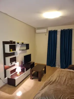 Gallery image of Arina apartment in Podgorica