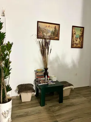 a room with a green table with books on it at Dado in Virpazar