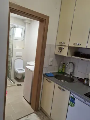 a small kitchen with a sink and a toilet at Apartman Zvjezdana Dolina in Budva