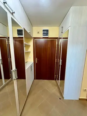 a bathroom with a shower and a wooden door at Apple apartment Petrovac in Petrovac na Moru