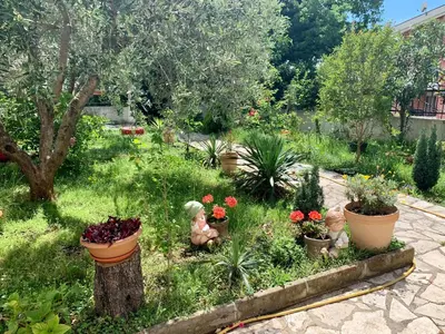 a garden with pots of flowers and plants at Apple apartment Petrovac in Petrovac na Moru