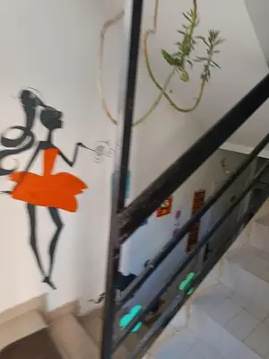 a wall with a painting of a woman on it at Mira i Ola Apartman in Budva