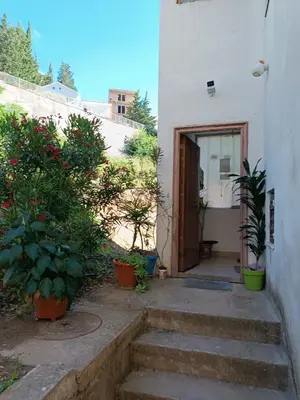 a stairway leading to a house with potted plants at Mira i Ola Apartman in Budva