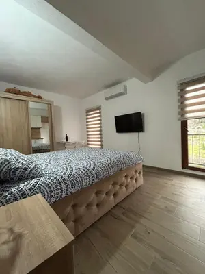 a bedroom with a large bed and a television at Apartmani Knezevic in Bar