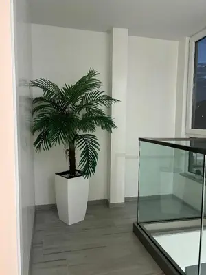 a potted plant in a room next to a window at Maja Apartmani in Sutomore