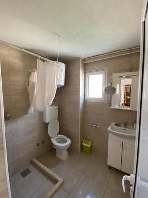 a bathroom with a toilet and a sink at Apartmani Adelina in Donji Štoj