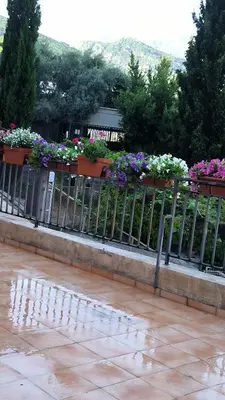 a fence with flower boxes on top of it at Centre Budva Green in Budva