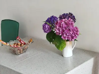 a vase with purple flowers and a basket of candy at APARTMAN Biser in Kotor