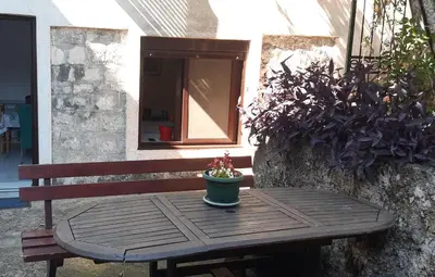 a wooden table with a potted plant sitting on a bench at APARTMAN Biser in Kotor