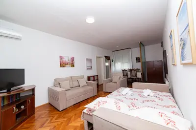 a living room with a bed and a couch and a tv at Apartment Simanic in Budva