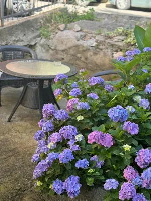 a table and a flower bush with purple flowers at Garden Apartments Budva in Boreti