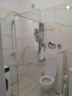 a bathroom with a toilet and a shower stall at Tina city apartment in Ulcinj