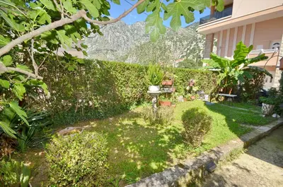 a garden in front of a building at Apartments Dada in Kotor