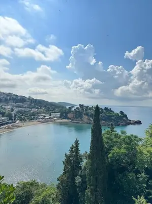 a view of a large body of water with trees at Ulcinj - Stonehouse in Oldtown with sea view in Ulcinj